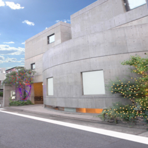 218 HOUSE