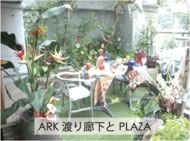 ARK 渡り廊下とPLAZA